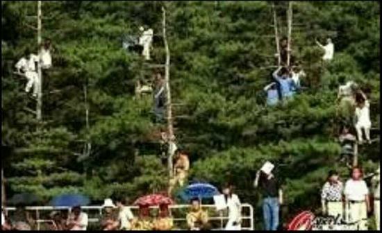 延边足球延边福德 延边福德拼搏为的不是金钱