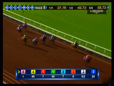 时间:2016年7月31日   地点:德尔马赛场(del mar racetrack)