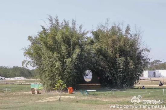 继续战斗!华天将出战奥运马术三项赛越野赛(图)