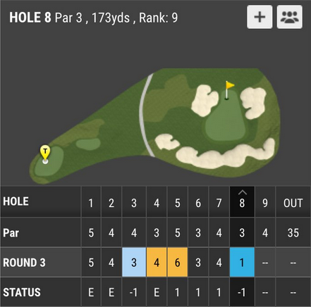 范泽尔在8号洞交出一杆进洞