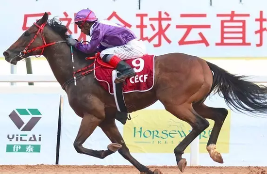 宝宝时时彩计划_永济日报