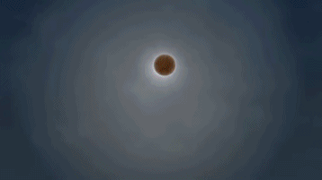 海岛猫鼬让梅西无奈了