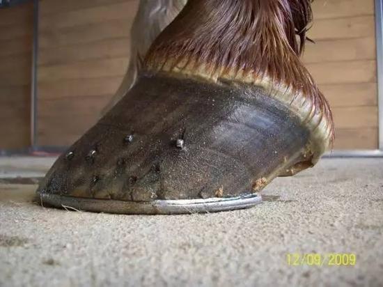 网上非法赌博举报平台_五指山日报