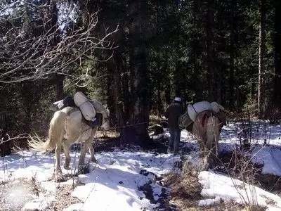 川马