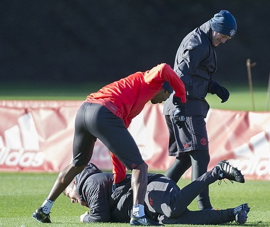 扬教授过来补拳