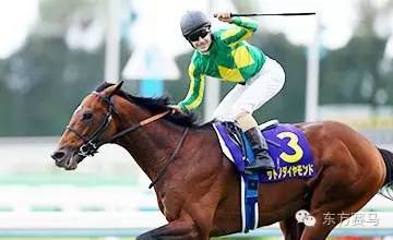 目前共有7匹马获得雄马三冠赛,最近一次是"黄金巨匠"(orfevre)在