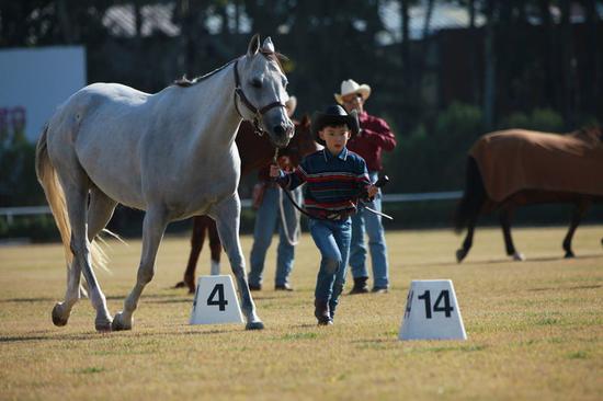 黄金时时彩全能计划王使用操作 - 龙岩新闻网