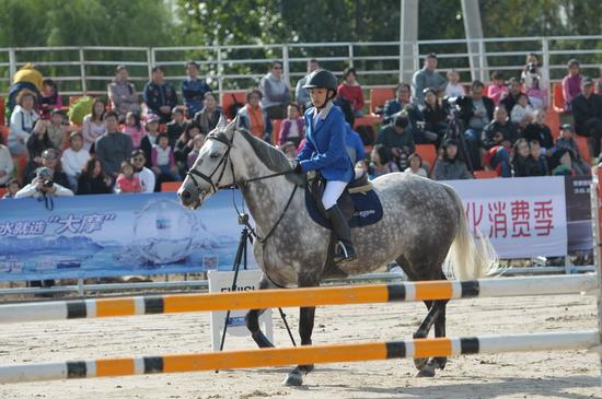 黄金时时彩全能计划王使用操作 - 龙岩新闻网