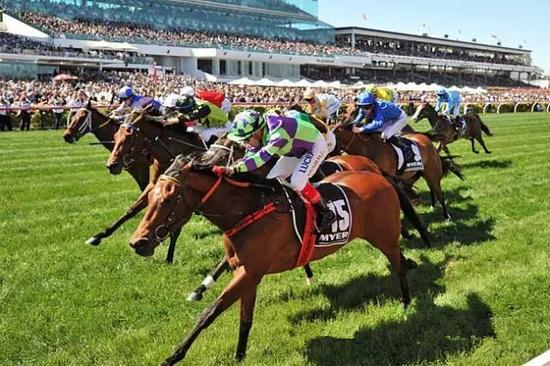 微信赌博群加拿大28_凌海资讯网