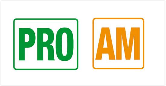 GTE-PRO / GTE-AM 组赛车标识