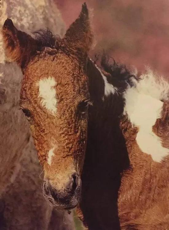 环球娱乐城网址英足总宣布穆里尼奥禁赛1场踢