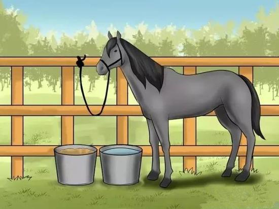 江城论坛【皇冠开户代理】郭艾伦因患肠胃炎复