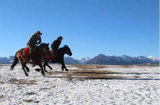 乐城备用网址杭州小学生被分重庆时时彩走势号