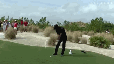 gif伍兹8号洞险轰一杆进洞挥杆精准重现虎风