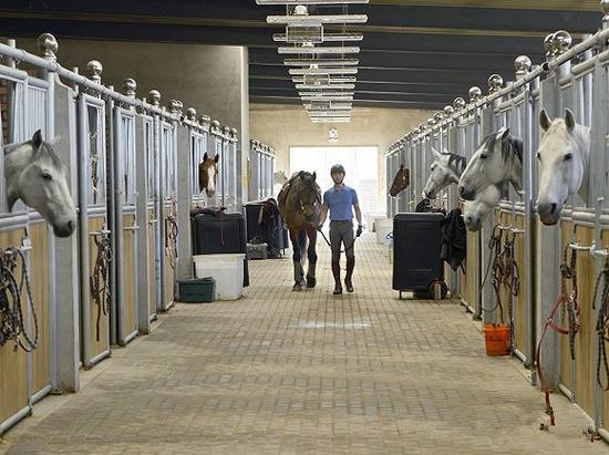 “天星调良”拥有国际标准马场配套设施