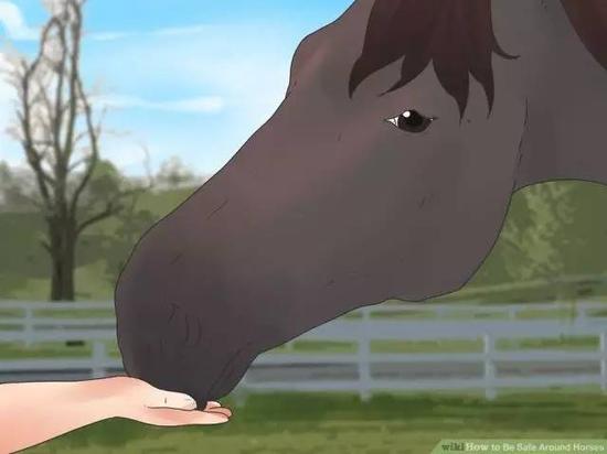 bet365体育官网 【欢迎加入】摩卡线上娱乐 官