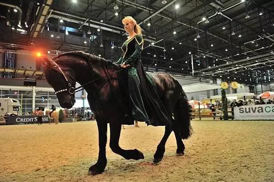 中文赌博网站_mg电子游戏平台关于夜跑的十点