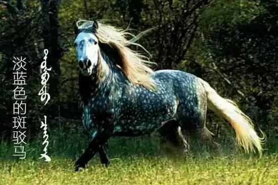 万丰娱乐城【注册就送】利高娱乐城备用网址_