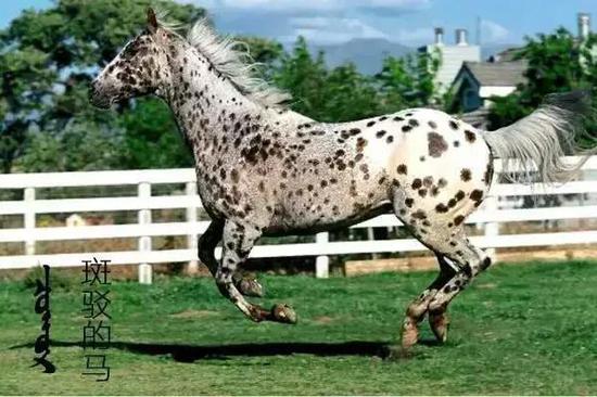 万丰娱乐城【注册就送】利高娱乐城备用网址_