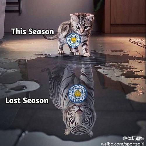 逗妹吐槽:内少深藏一颗中国心