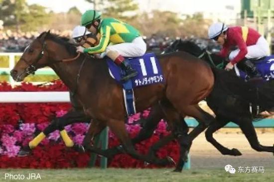 图/JRA，「里见光钻」（11号）