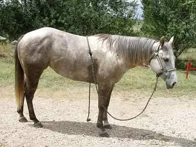 皇冠开户_【注册送68彩金】_瑞丰娱乐注册_皇