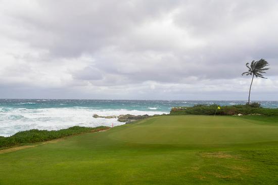 开心8娱乐注册送彩金:澳盈88博彩网站 优步曝