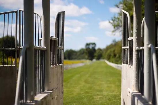 超豪华顶级阵容!世界奖金最高纯血马赛事重磅