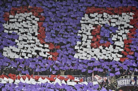 紫百合球迷Tifo