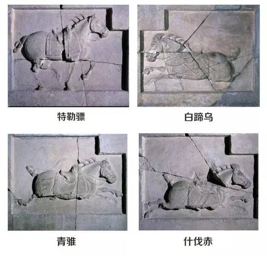 "和"拳毛騧",是中国古代历史上著名石刻艺术精品"昭陵六骏"中的"二骏"