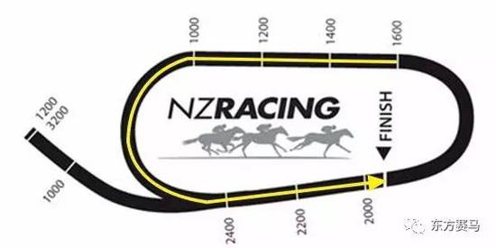 　▲图/NZRacing