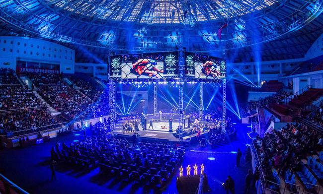 这一年我们所做的事 《勇士的荣耀》一步步崛起