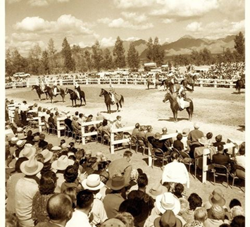 1950年代的Scottsdale 阿拉伯马展