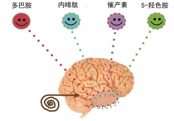 三,运动可以促进内啡肽的分泌,从而带来愉悦感