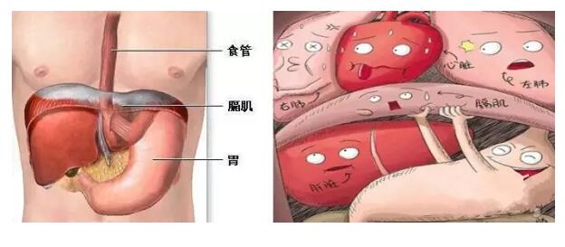 二、跑步时为什么会岔气