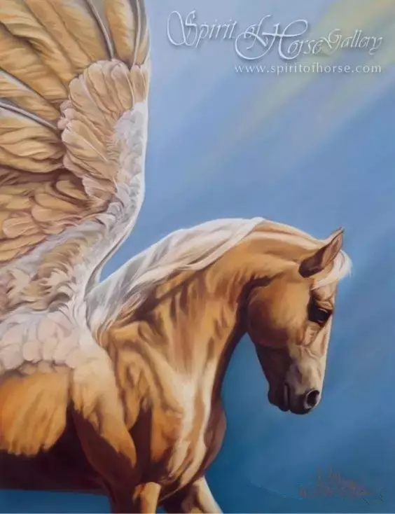 眼中却是一种荒谬的设计——这样的翅膀,是无法让飞马和天使飞起来的