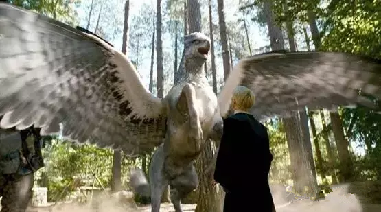 电影《哈利·波特与阿兹卡班的囚徒》中的鹰头马身有翼兽,也是一种