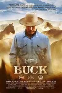 纪录片《Buck》