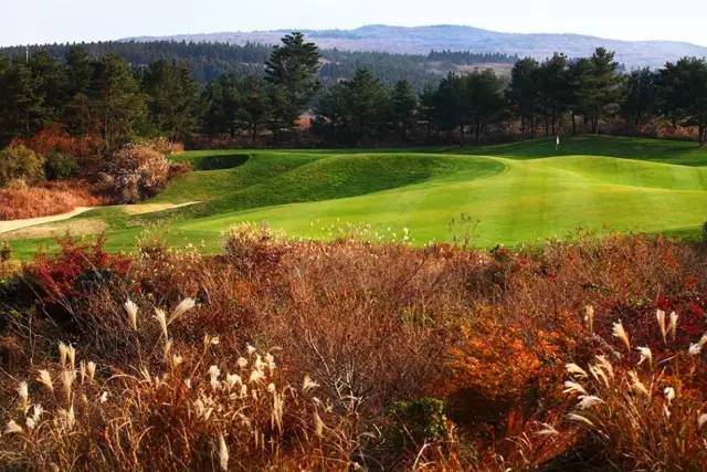 新建球场之门真被关上了吗? 中国高尔夫走向观