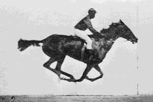 ▲图/Eadweard Muybridge