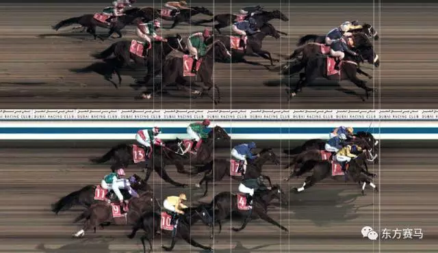 ▲图/Dubai Racing Club,罕见的四马平头