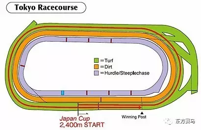 　　▲图/Horseracing in Japan