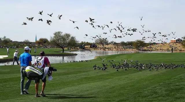 生意人喜欢看到8，高尔夫球员喜欢看到鸟。