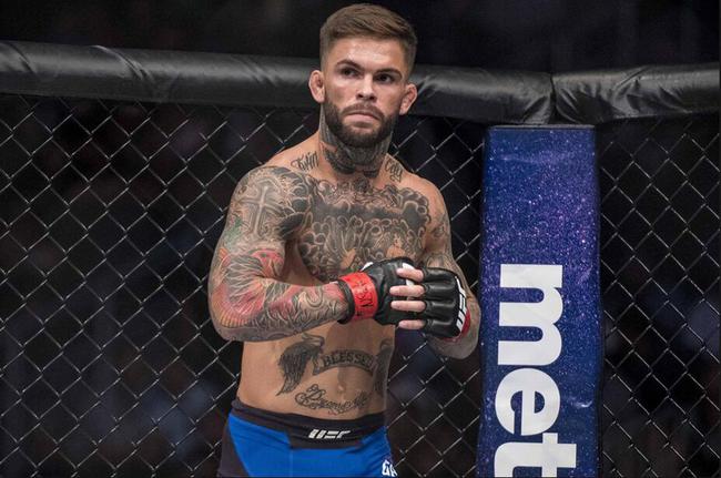 但现任ufc雏量级冠军科迪-加布兰特(cody garbrandt)与tj-迪拉肖(tj