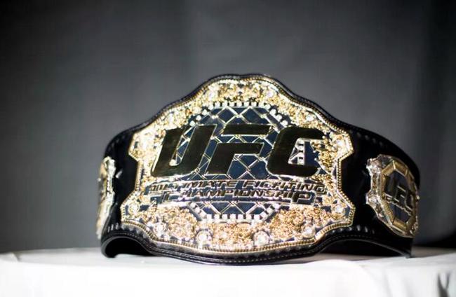 UFC组建女子蝇量级 第26季终极斗士将决首位