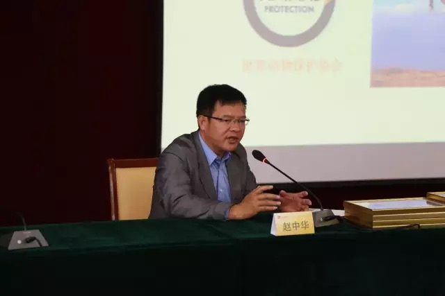 图为世界动物保护协会中国首席代表赵中华