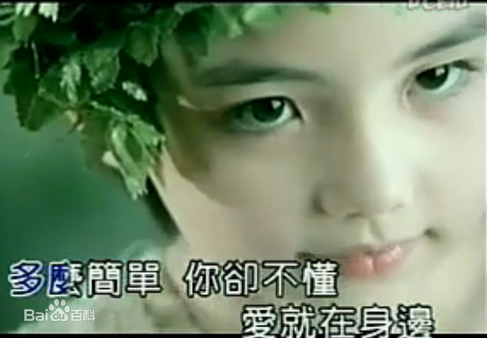 小黑嘉嘉曾出演MTV