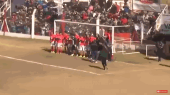 跪着看!史上最神任意球 这人墙已看傻|gif