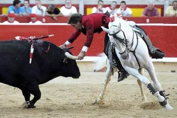 188金宝博官方网站- 188金宝博APP- 188金宝博在线娱乐教育部关于修改《国家教育考试违规处理办法》的决定