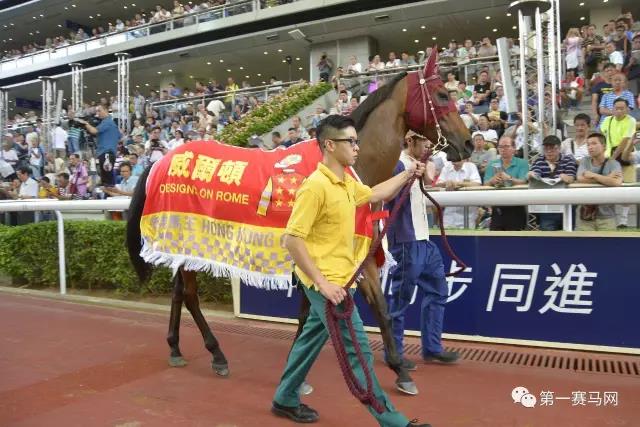 “威尔顿”最后一次在沙田马场马匹亮相圈巡行,与广大马迷道别。